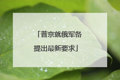 普京就俄军备提出最新要求